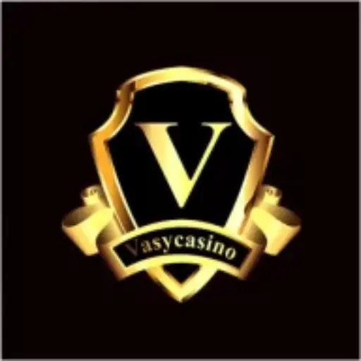 Vasy Casino